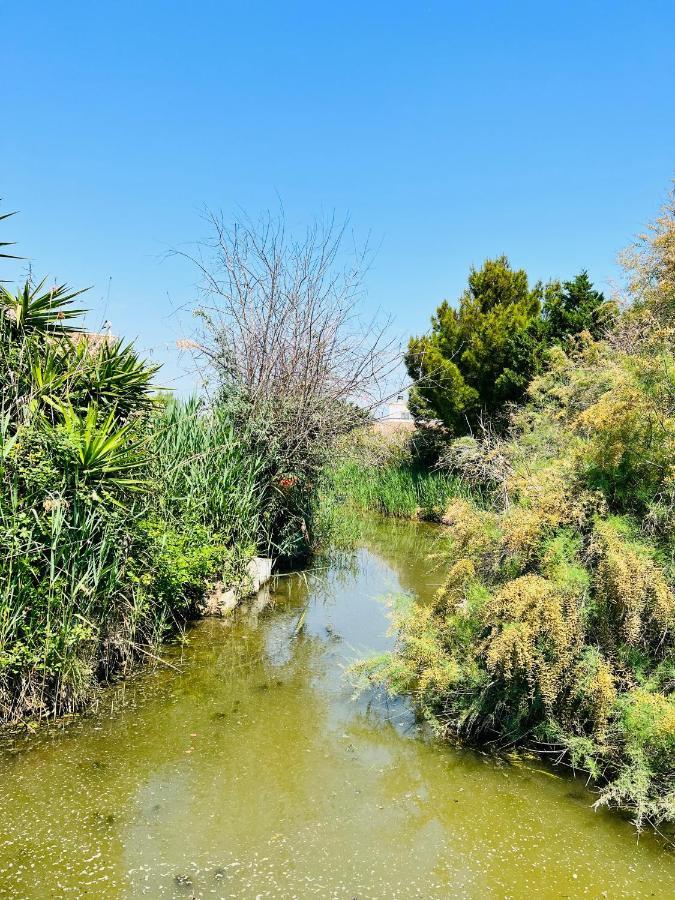 Cabane Le Flamant Avec Jardin, Piscine Et Parking Сент-Марі-де-ла-Мер Екстер'єр фото