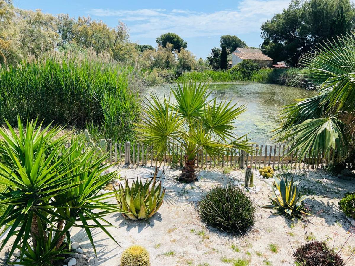 Cabane Le Flamant Avec Jardin, Piscine Et Parking Сент-Марі-де-ла-Мер Екстер'єр фото